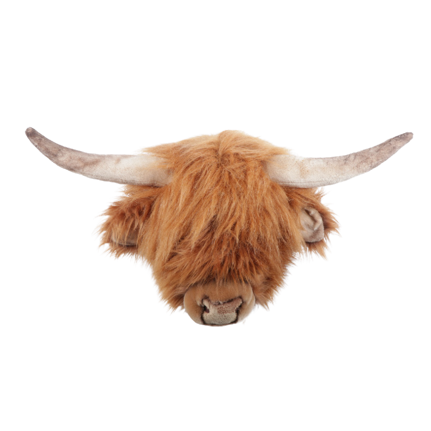 Nicolas the Highland Cow Wall Mounted Plush Head