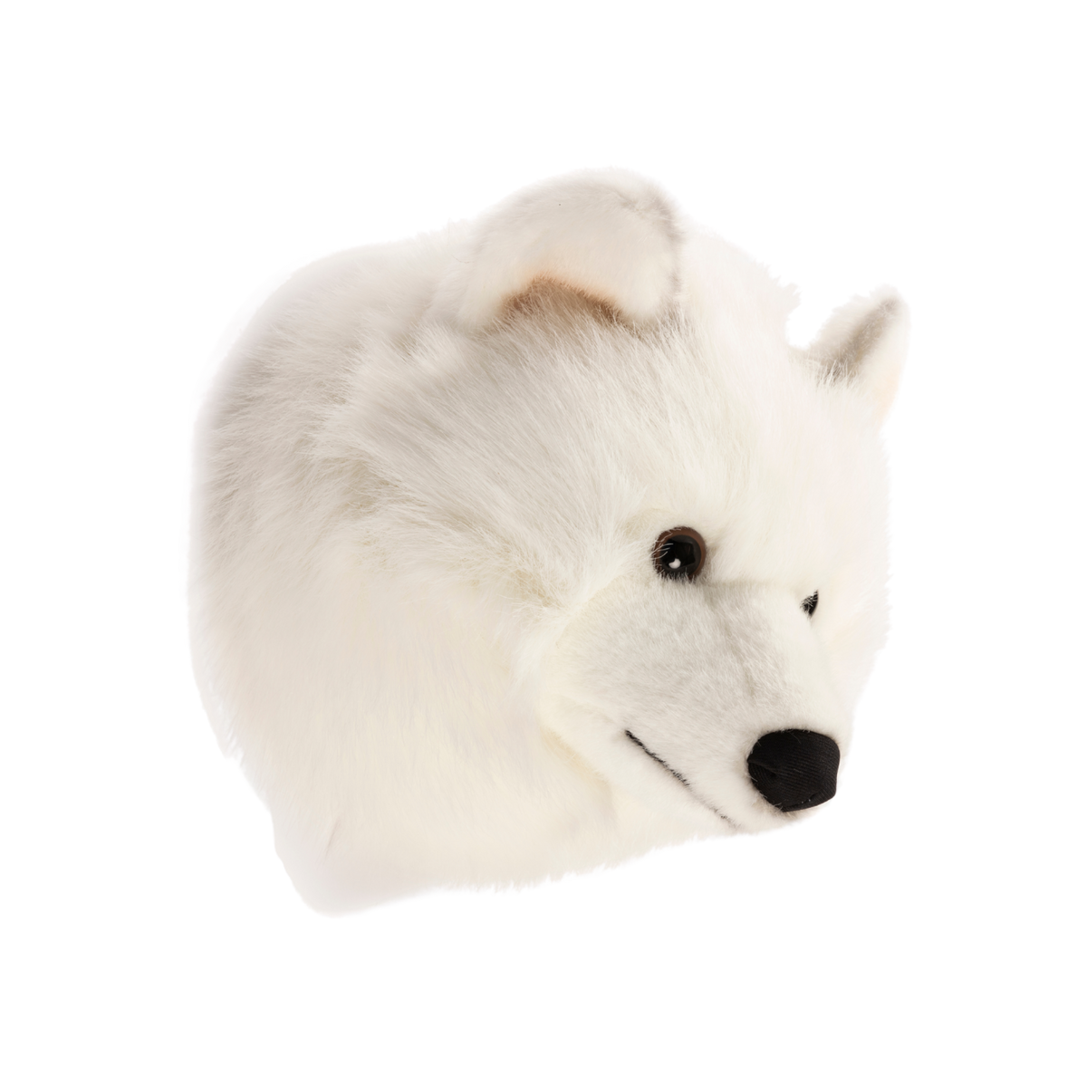 Lucy the white wolf