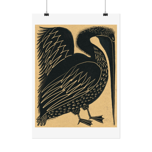Tabby Booth PelicanFine Art Print