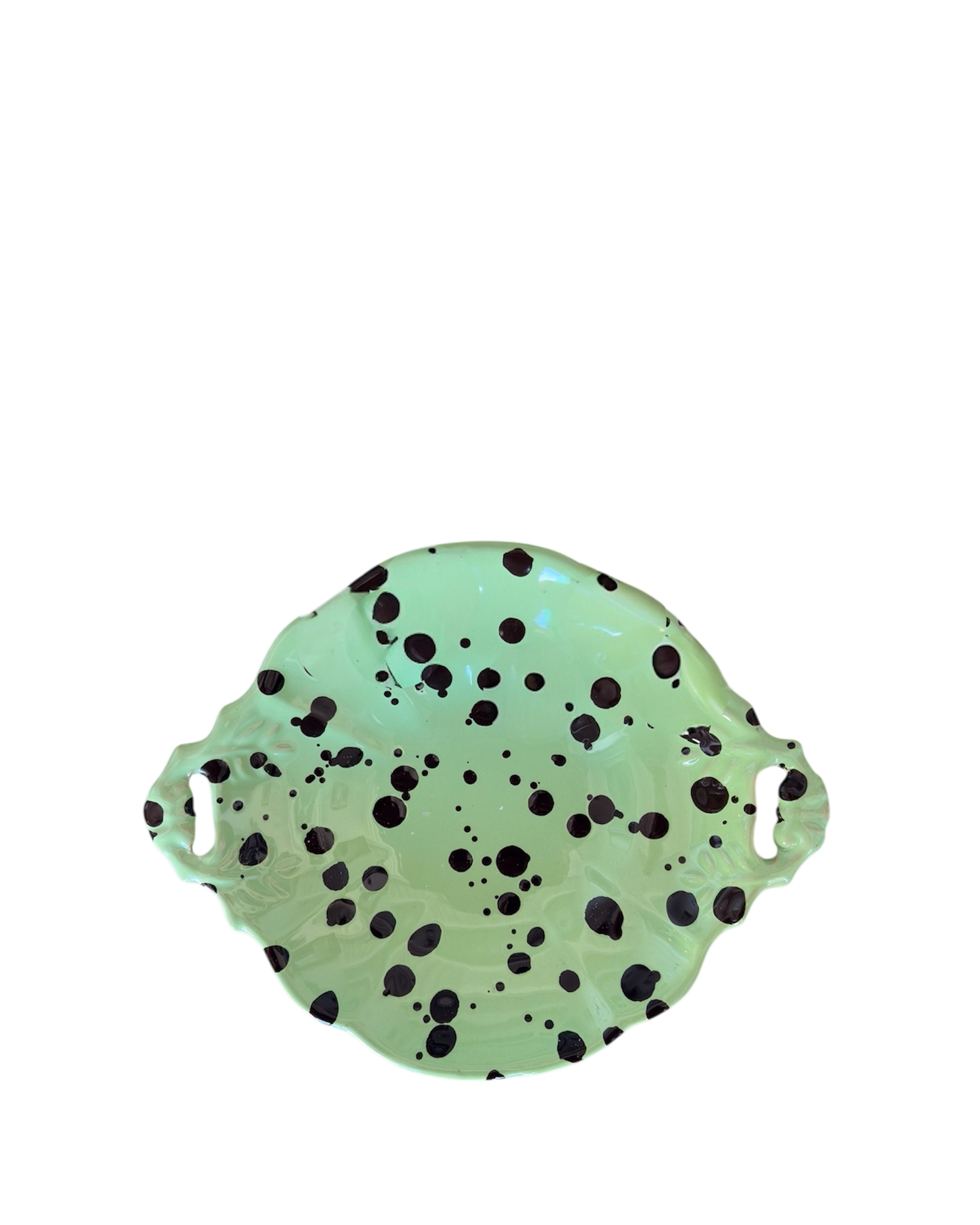 The Shell Dish