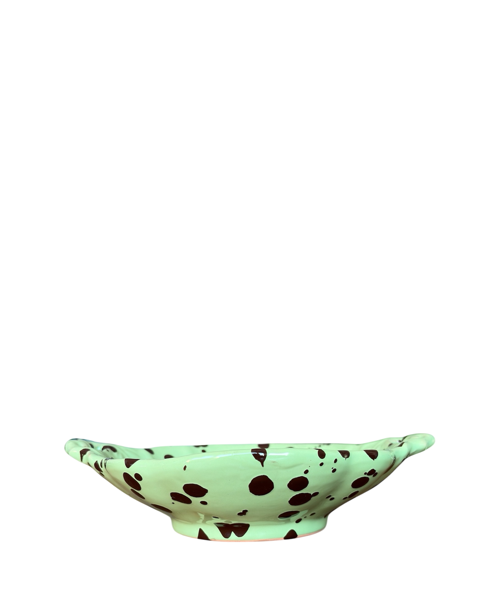 The Shell Dish