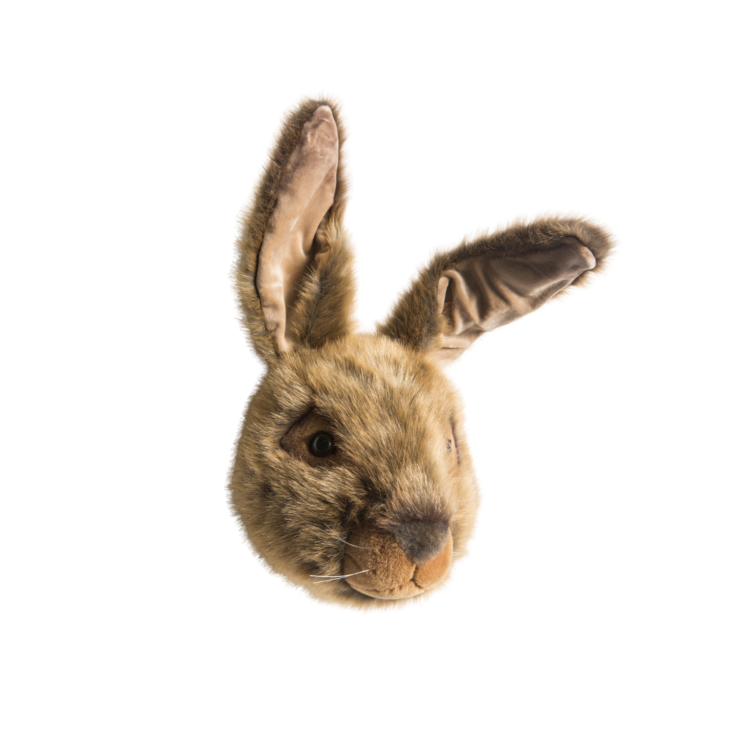 Lewis the Hare Wall Mounted Plush Head