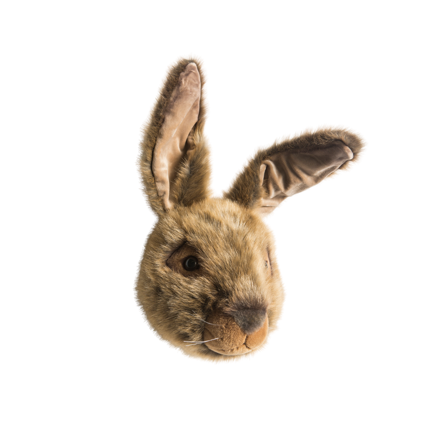 Lewis the Hare Wall Mounted Plush Head