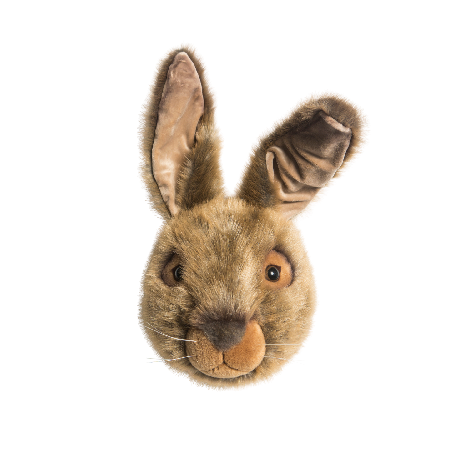 Lewis the Hare Wall Mounted Plush Head