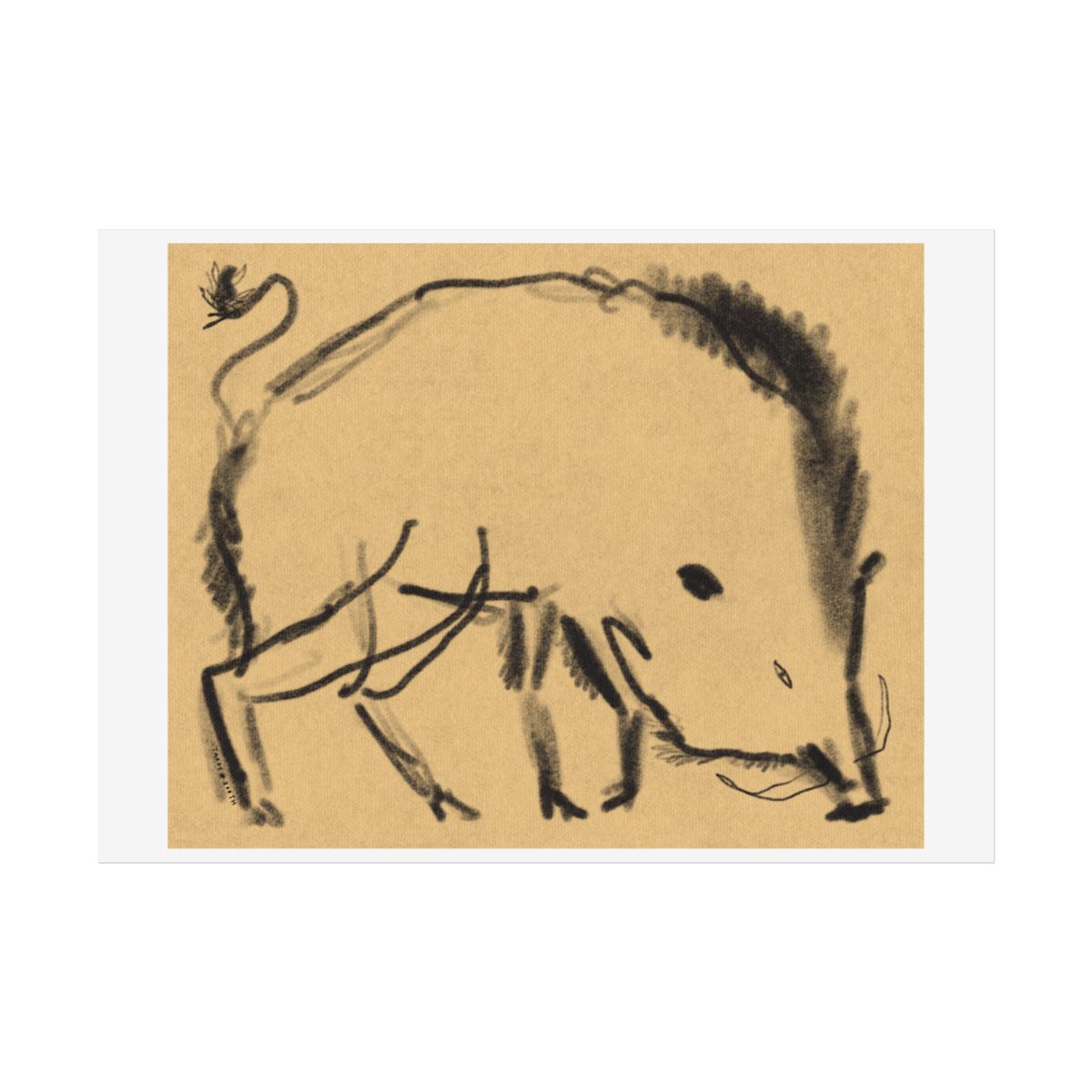 Tabby Booth WILD BOAR Fine Art Print