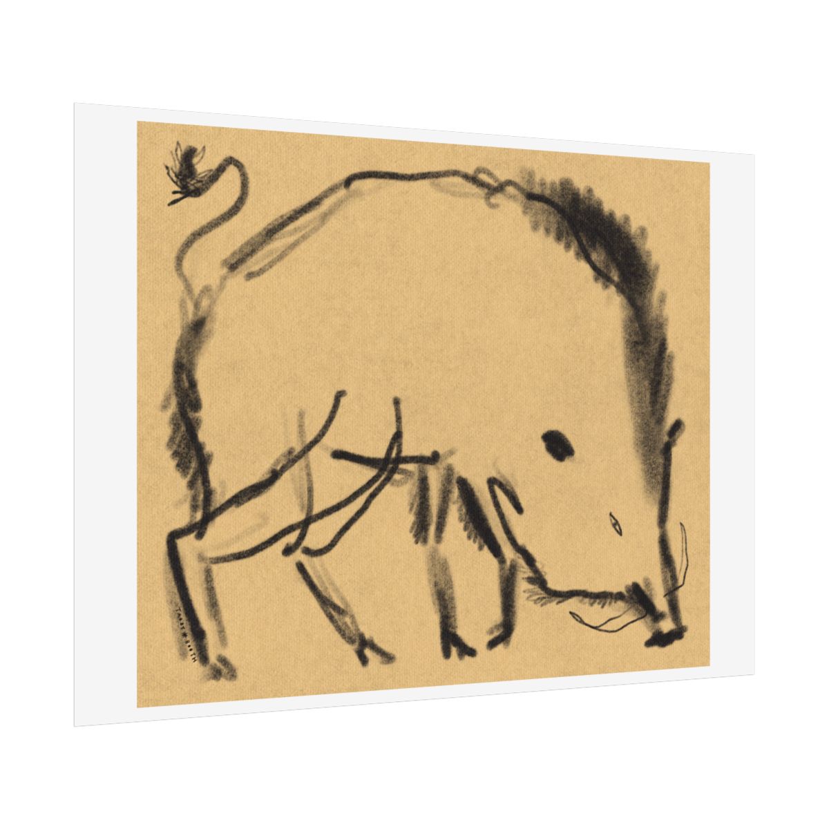 Tabby Booth WILD BOAR Fine Art Print