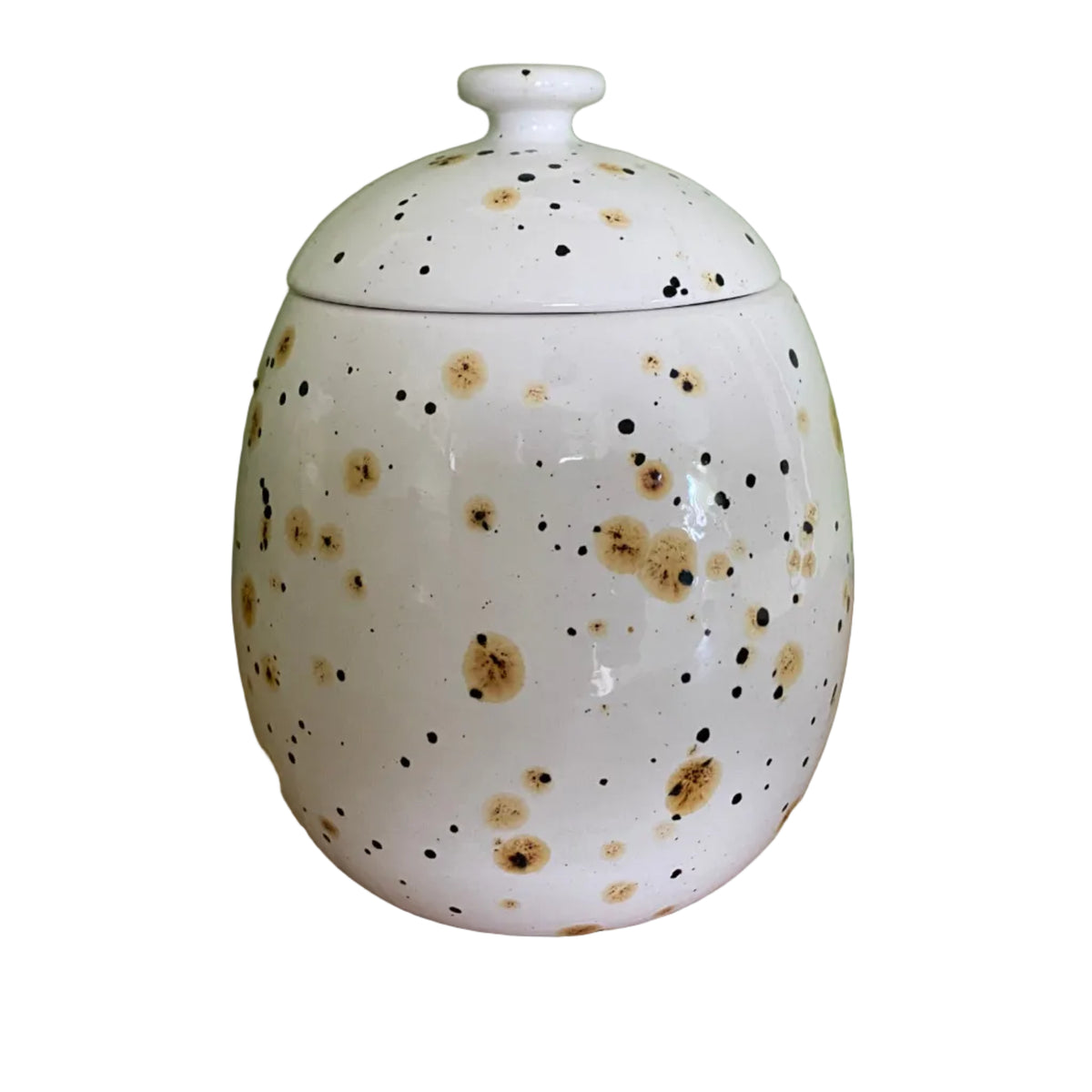 Cookie/Biscuit Jar Canister Confetti Glaze