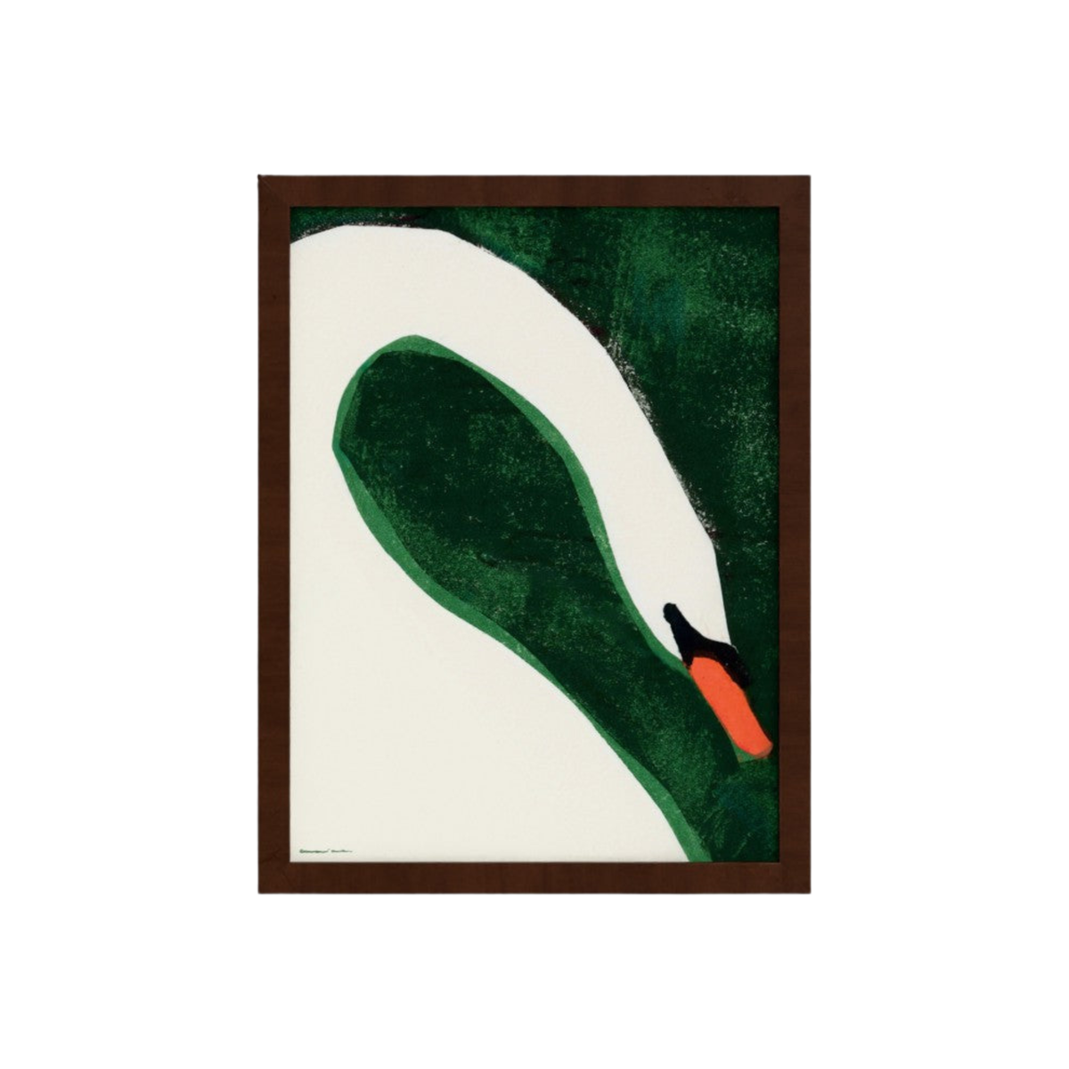 Cisne - Print