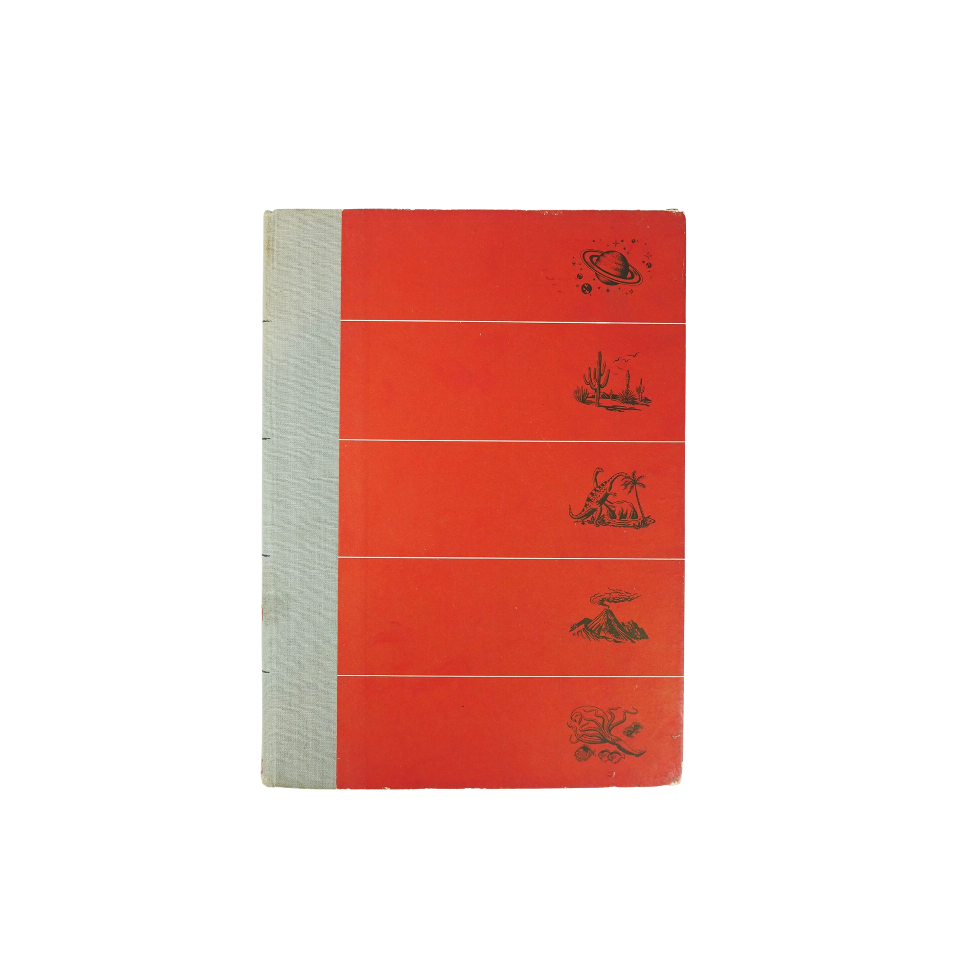 The World We Live In Vintage Book