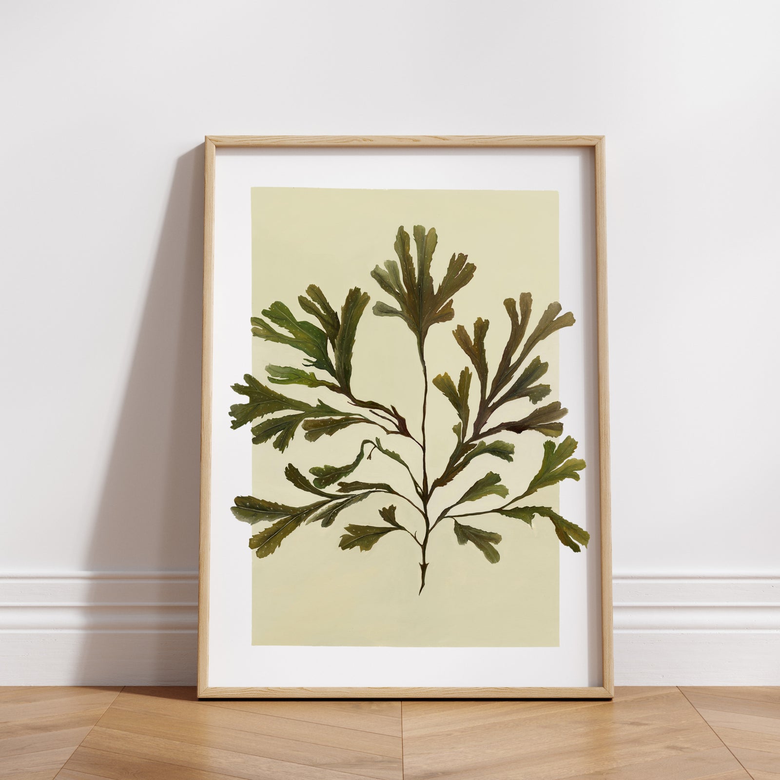 Serated Wrack Fine Art Print