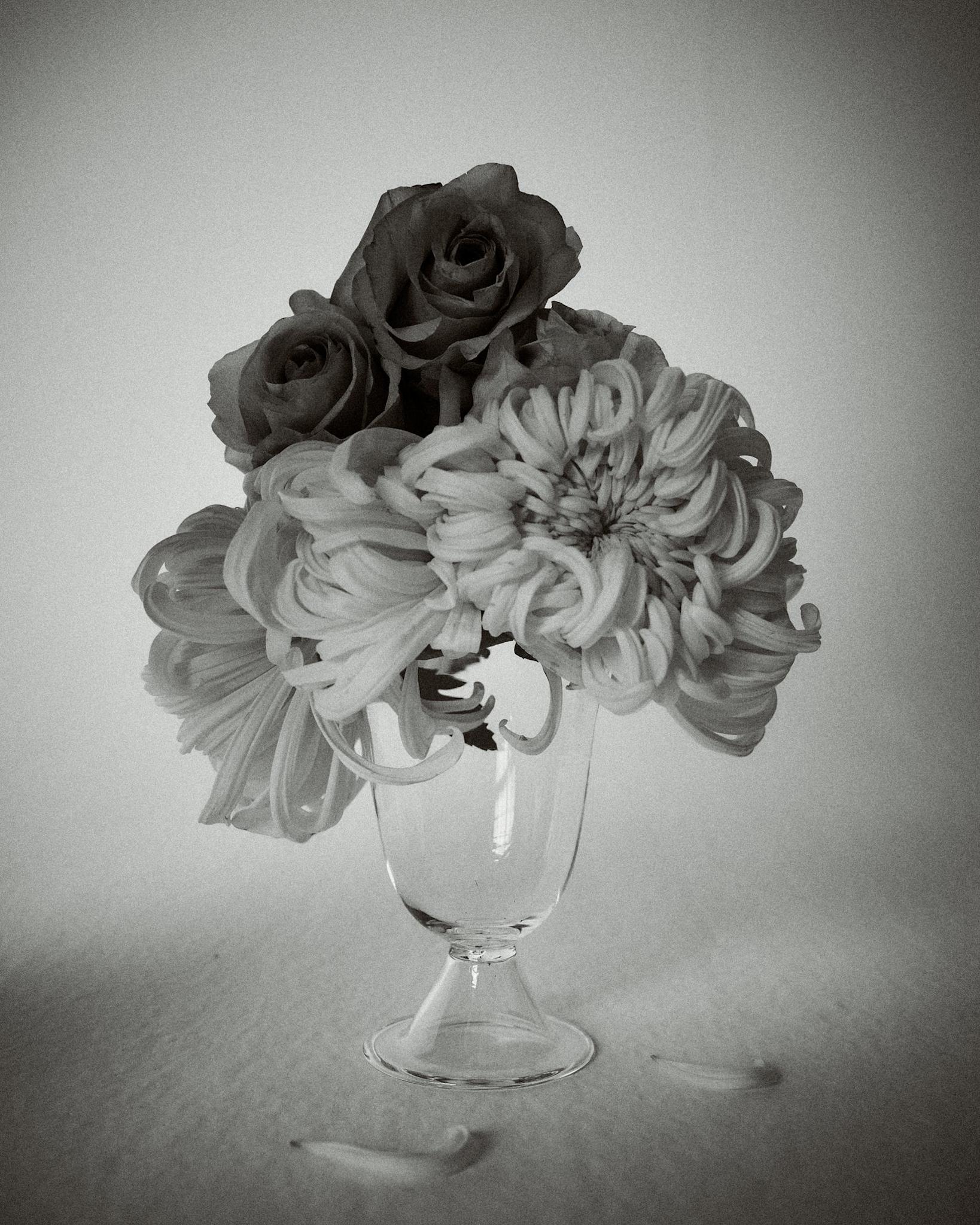 Alban Poppy Vase