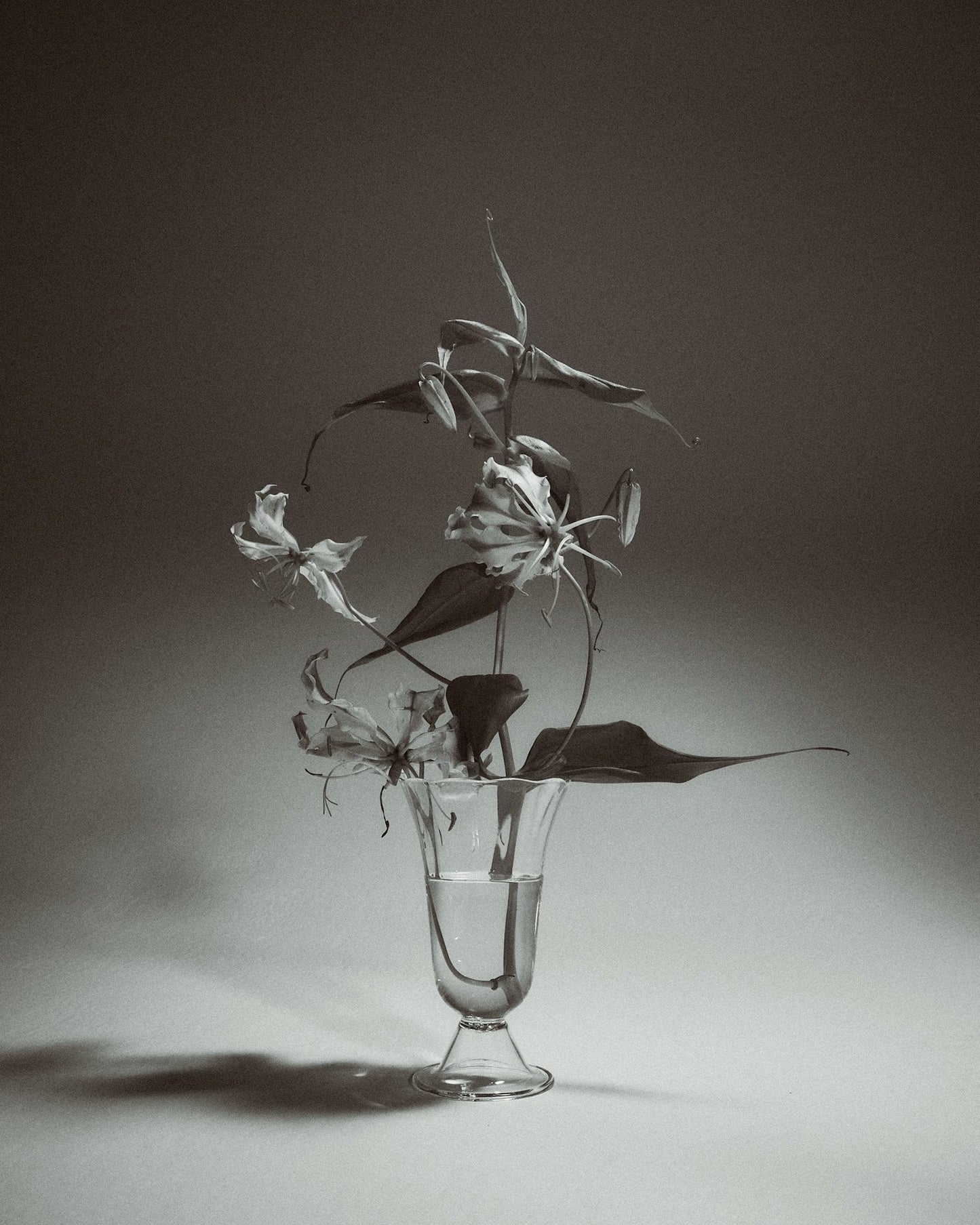 Alban Tulip Vase