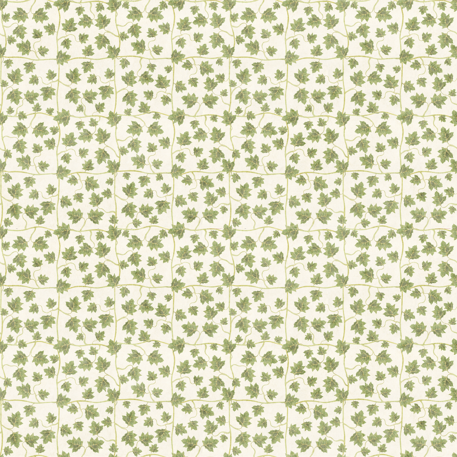 Edera Wallpaper - Moss