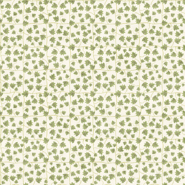 Edera Wallpaper - Moss