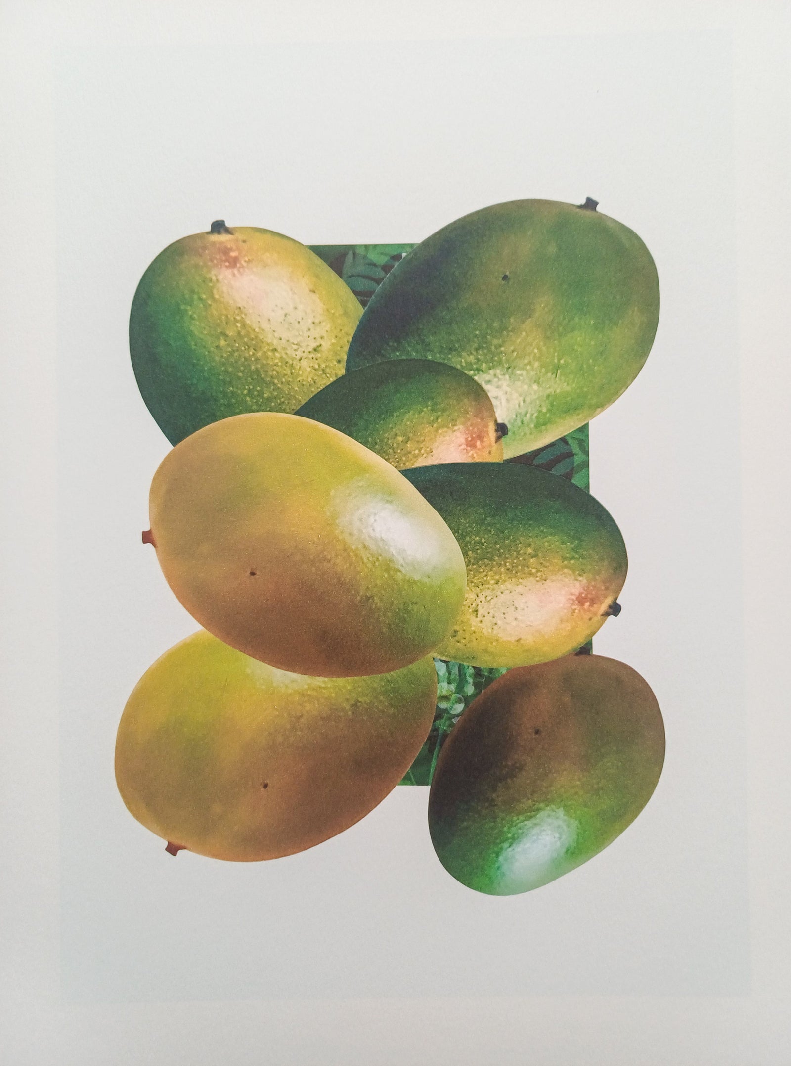 Who likes the Mango fine art print