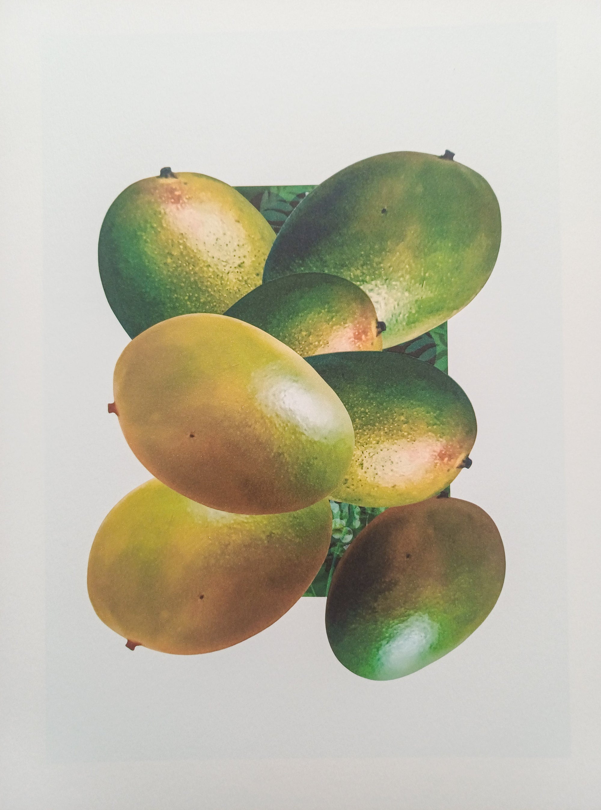 Who likes the Mango fine art print