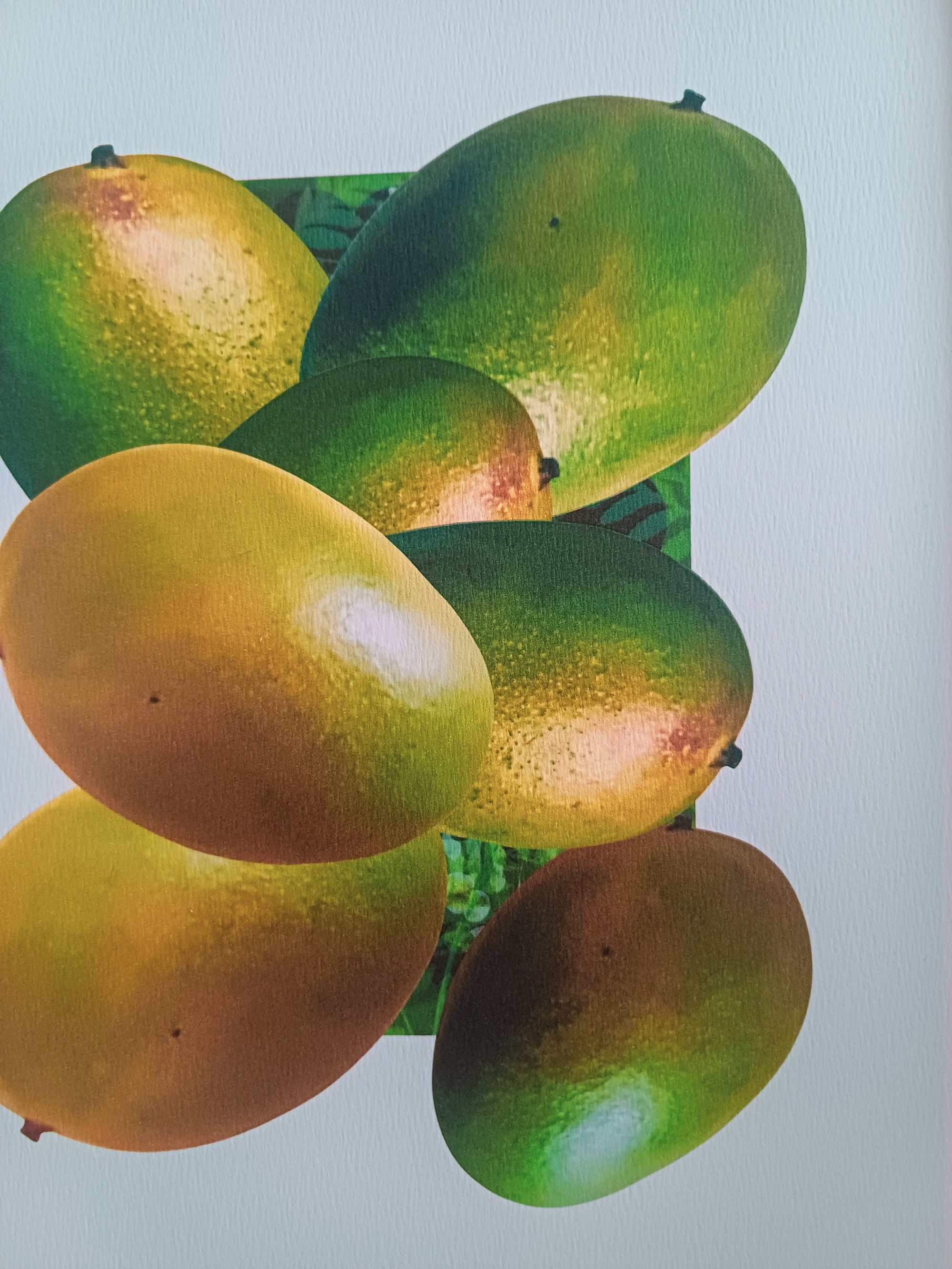 Who likes the Mango fine art print