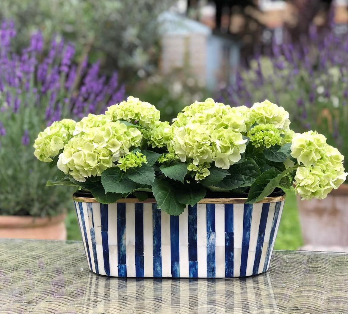 Oblong Inlay Planter | Large | Blue | Striped