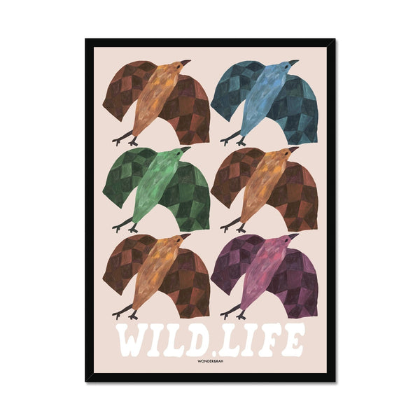 Wild Life Birds Print