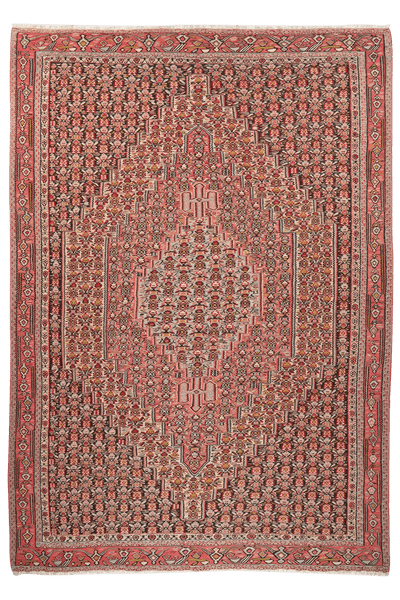 Kelim Senneh — Handmade, 242x340 cm, Multicolor, 100% Virgin Wool | Main view