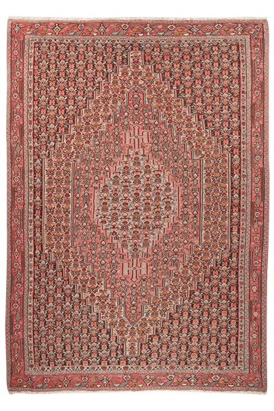 Kelim Senneh — Handmade, 242x340 cm, Multicolor, 100% Virgin Wool | Main view