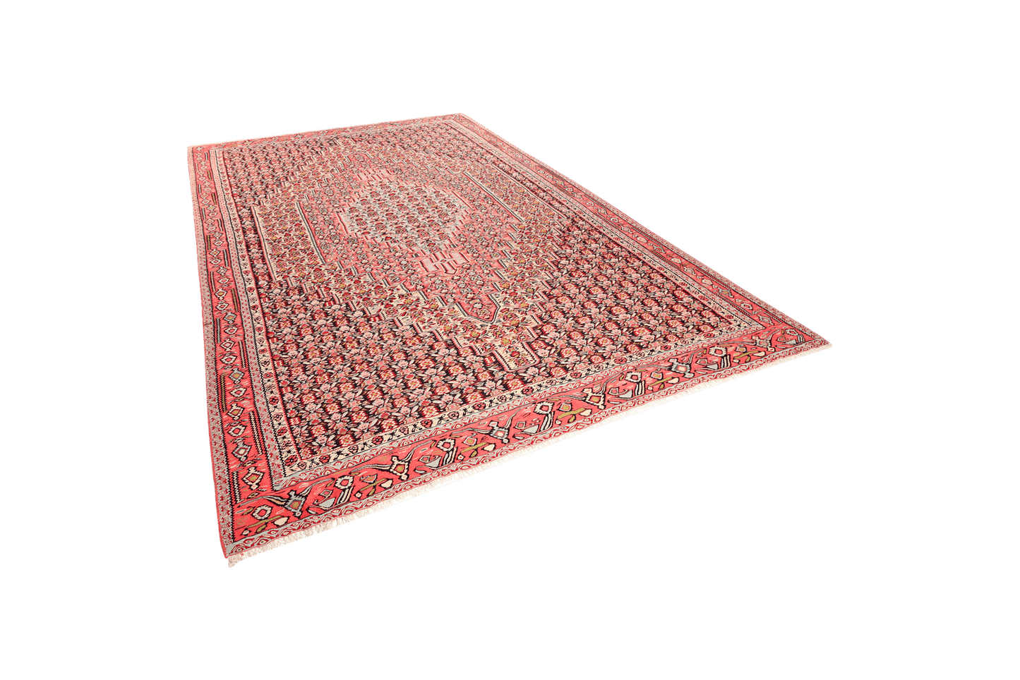 Kelim Senneh — Handmade, 242x340 cm, Multicolor, 100% Virgin Wool | View 5