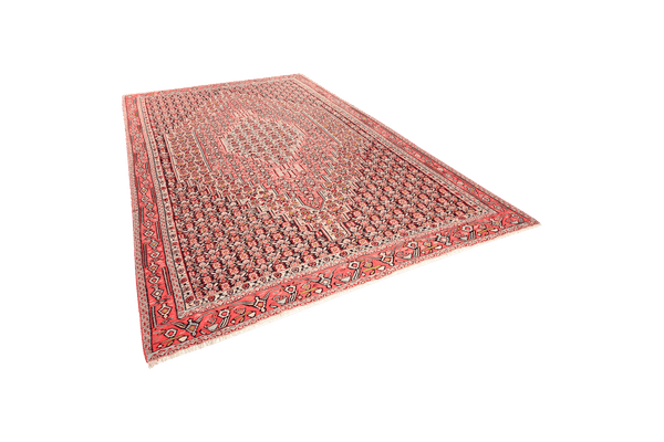 Kelim Senneh — Handmade, 242x340 cm, Multicolor, 100% Virgin Wool | View 5