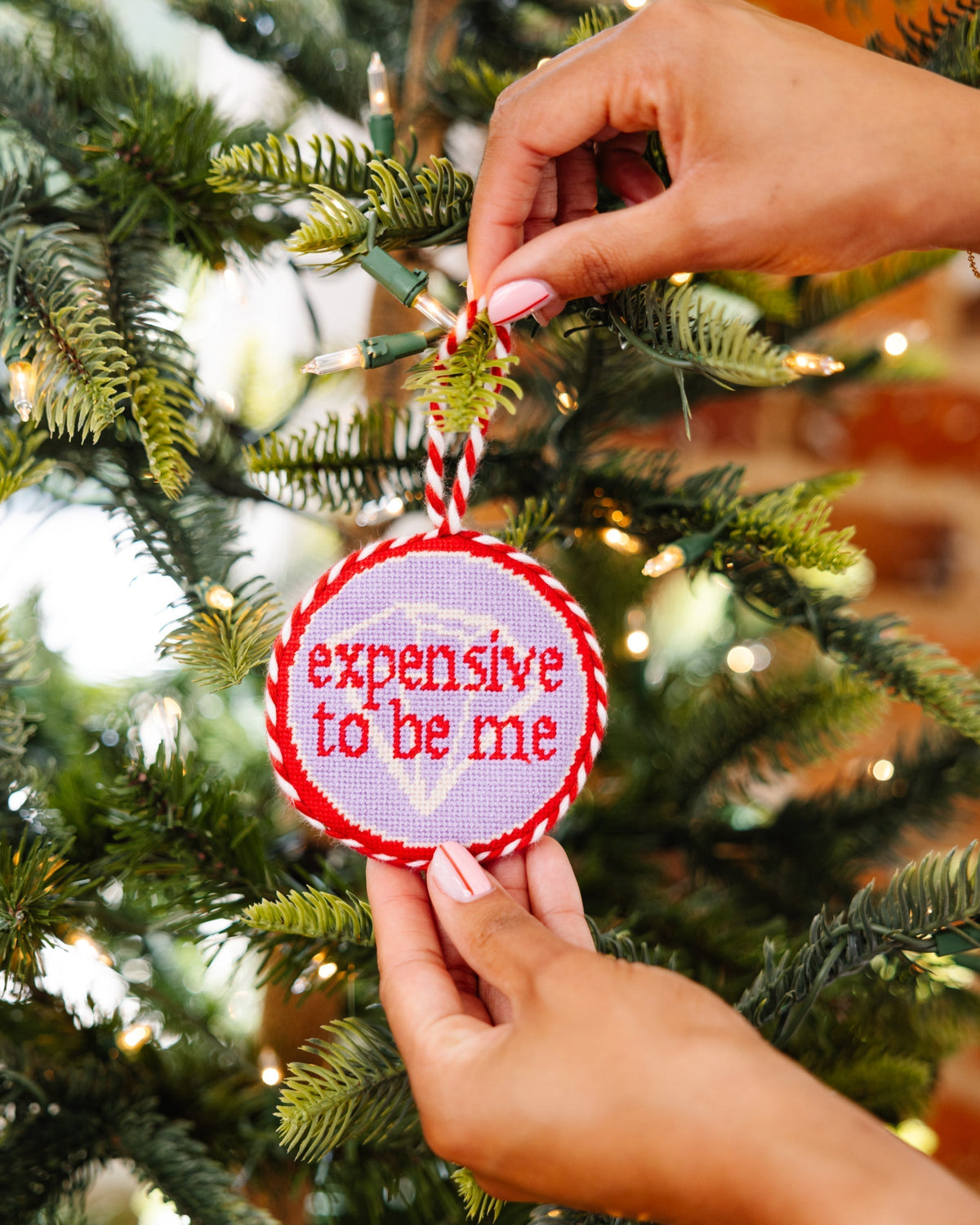Needlepoint Ornament - Expensive To Be Me - Furbish Studio