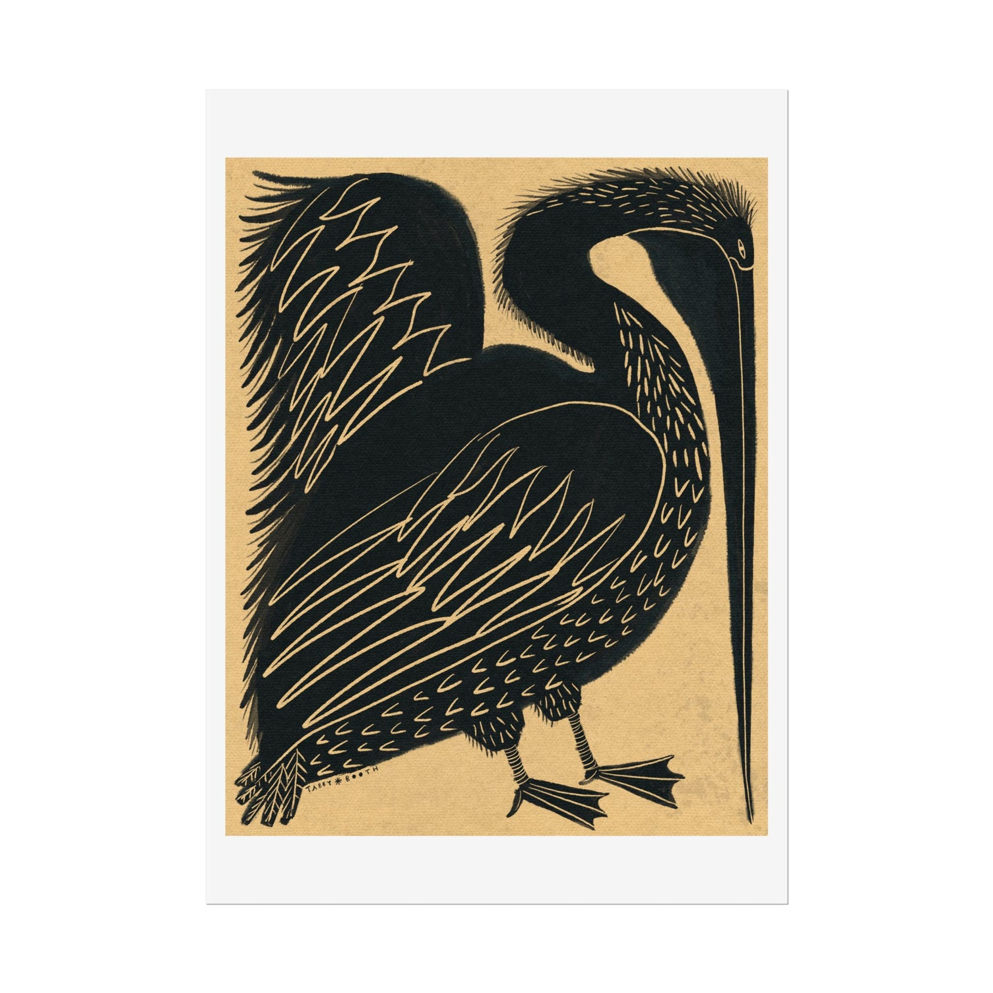Tabby Booth PELICAN Fine Art Print