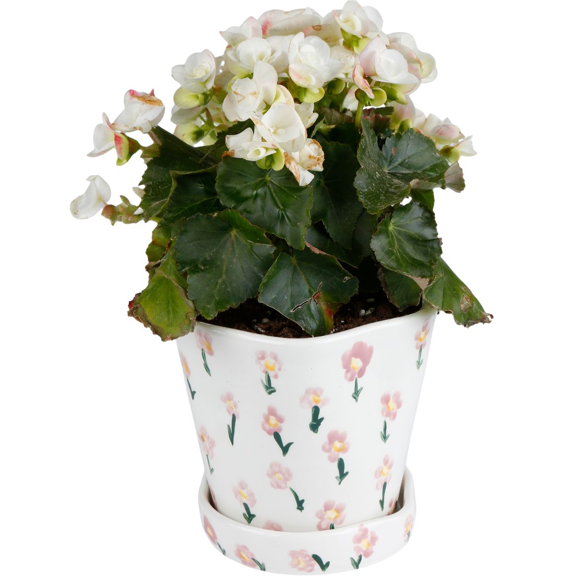 Prairie Planter