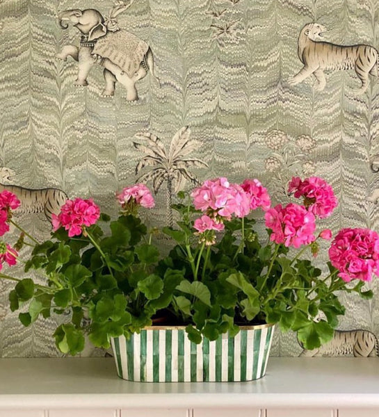 Oblong Inlay Planter | Large | Green | Striped