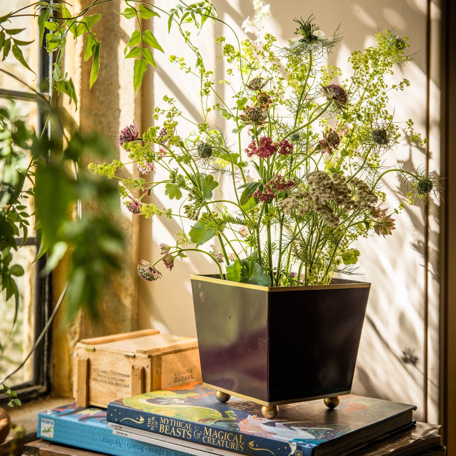Floral arrangement in a pot on books with a window and soft shadows in the background.