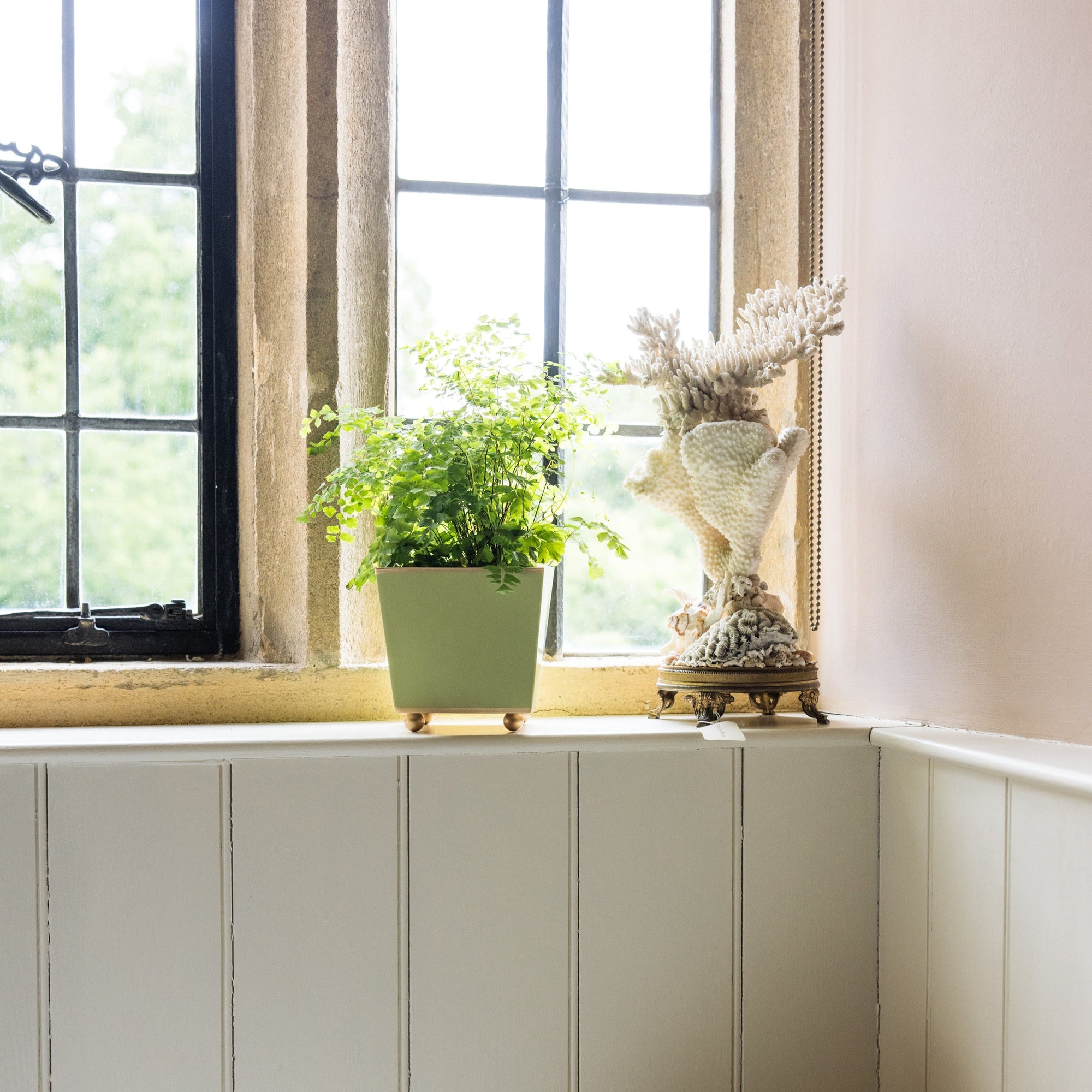 Wooden panelled windowsill ledge with a pale green square plant pot and decorative coral shell sculpture, with a neutral colour scheme.