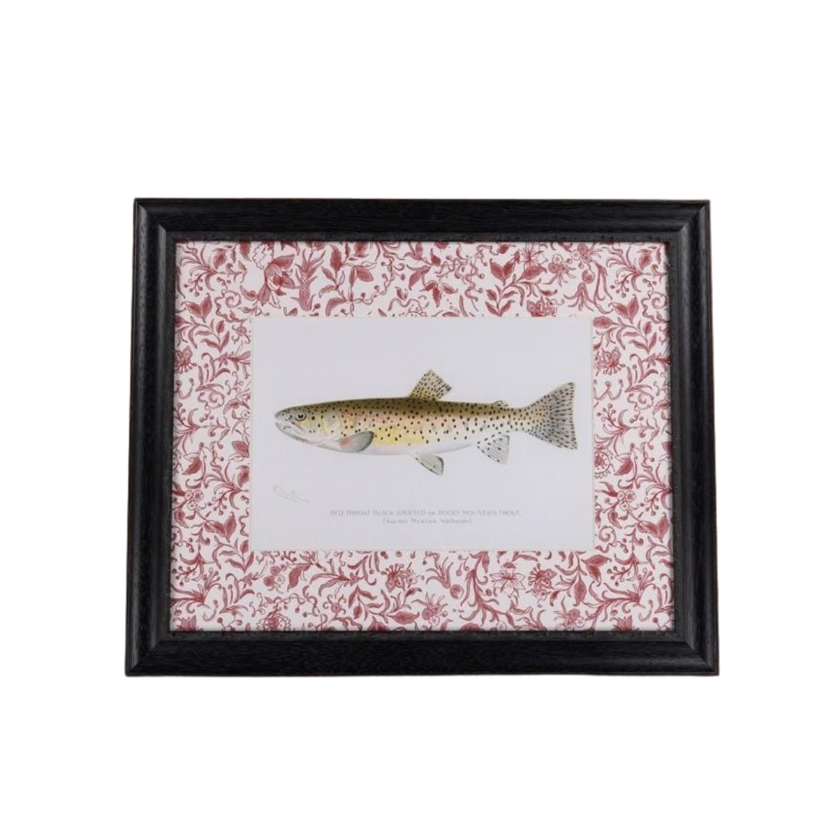 Fish II Framed Print- A Quiet Classic with Personality