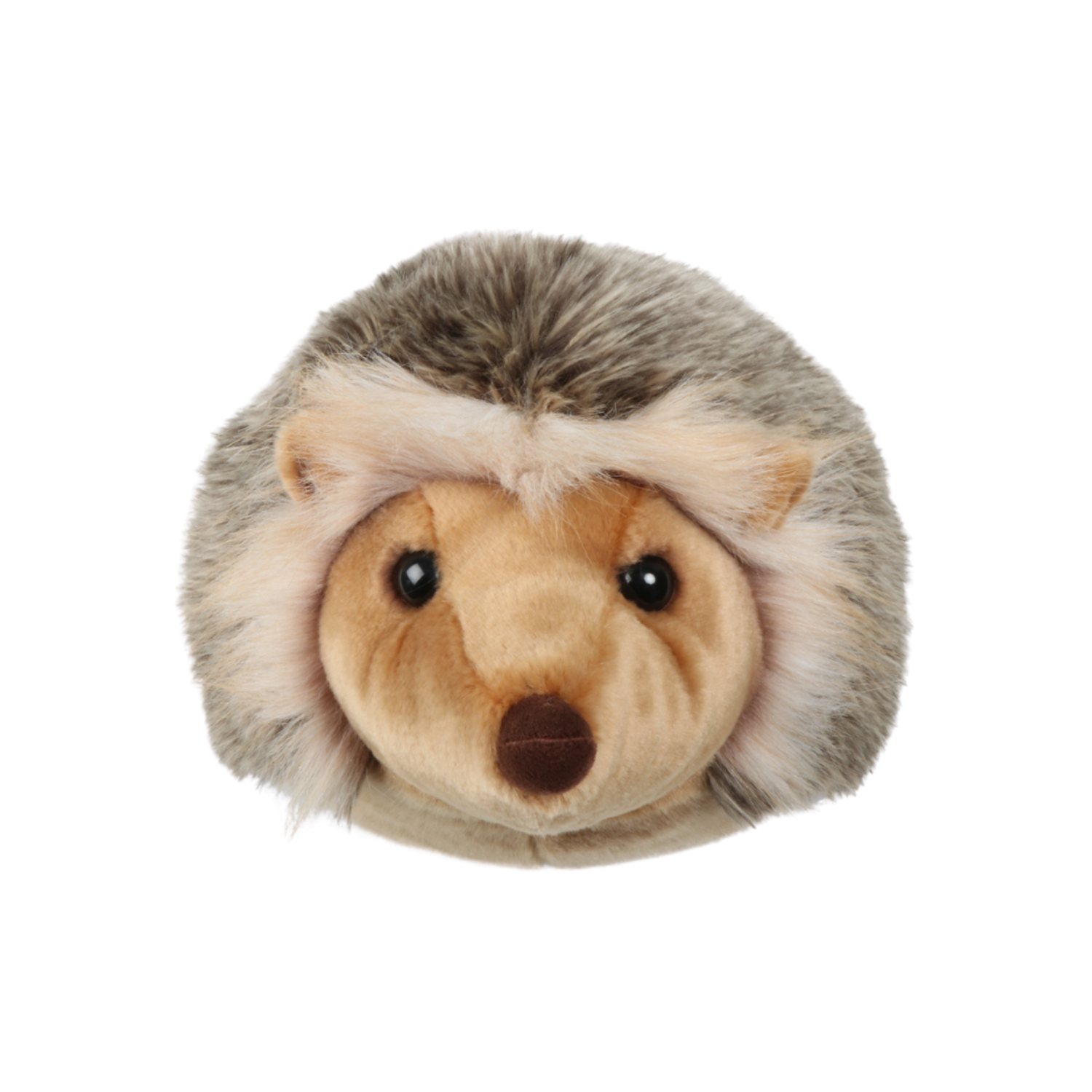 Jenna the Hedgehog