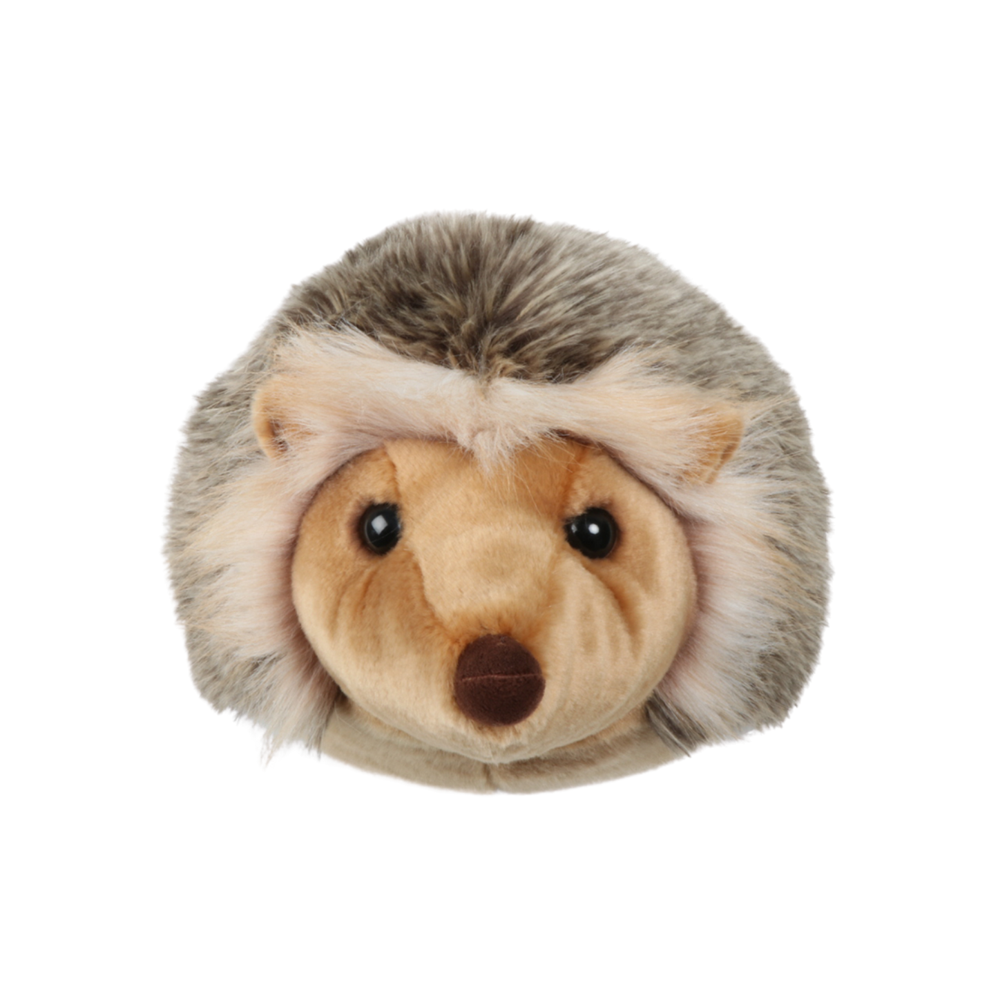 Jenna the Hedgehog