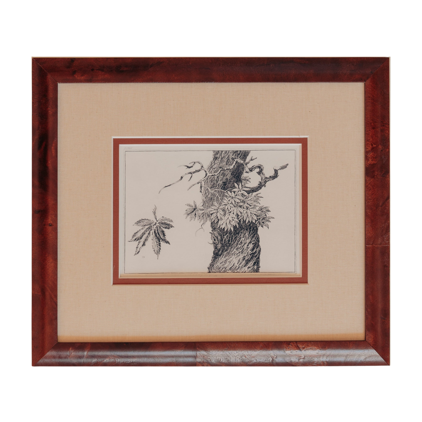 The Ancient Trees Print