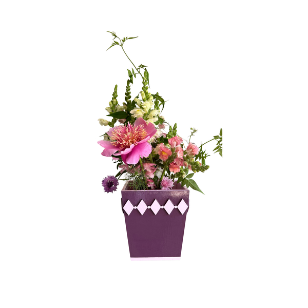 Mulberry Diamond Style Planter with Pink Edge
