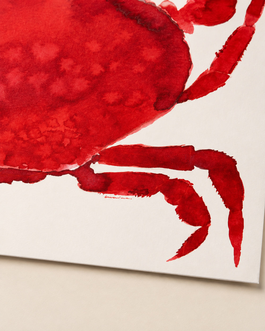 Cangrejo Rojo Print