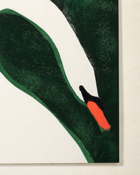 Cisne - Print