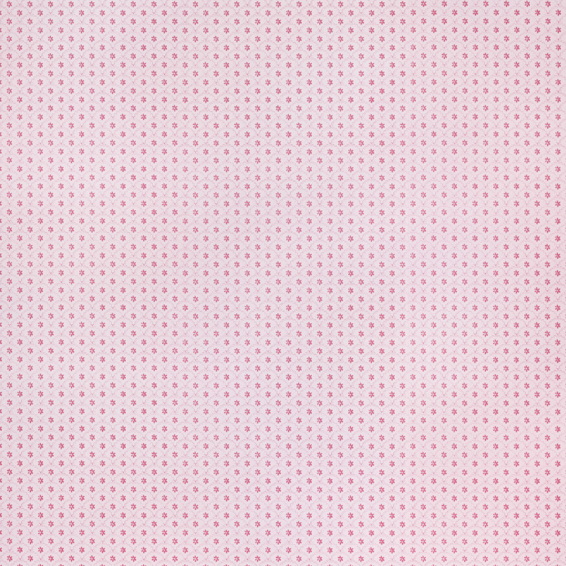 Daisy Scallops Wallpaper