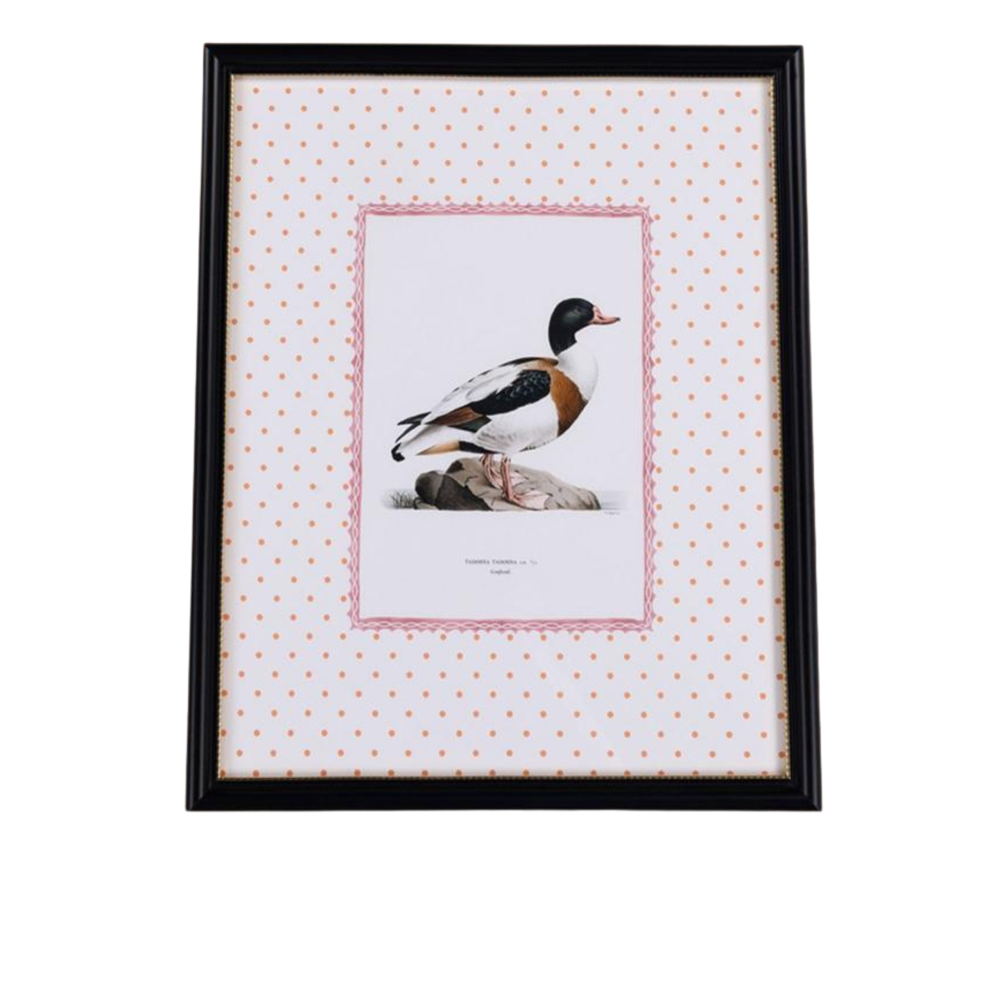 Duck IV Framed Print- The Prettiest By Far
