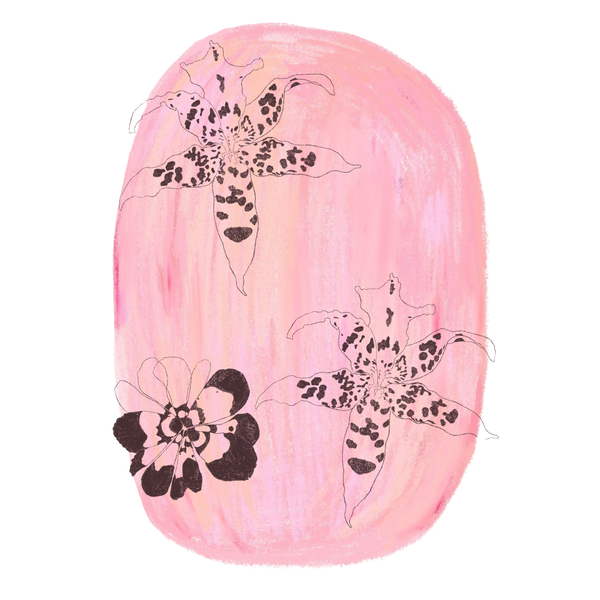 Blossom Print