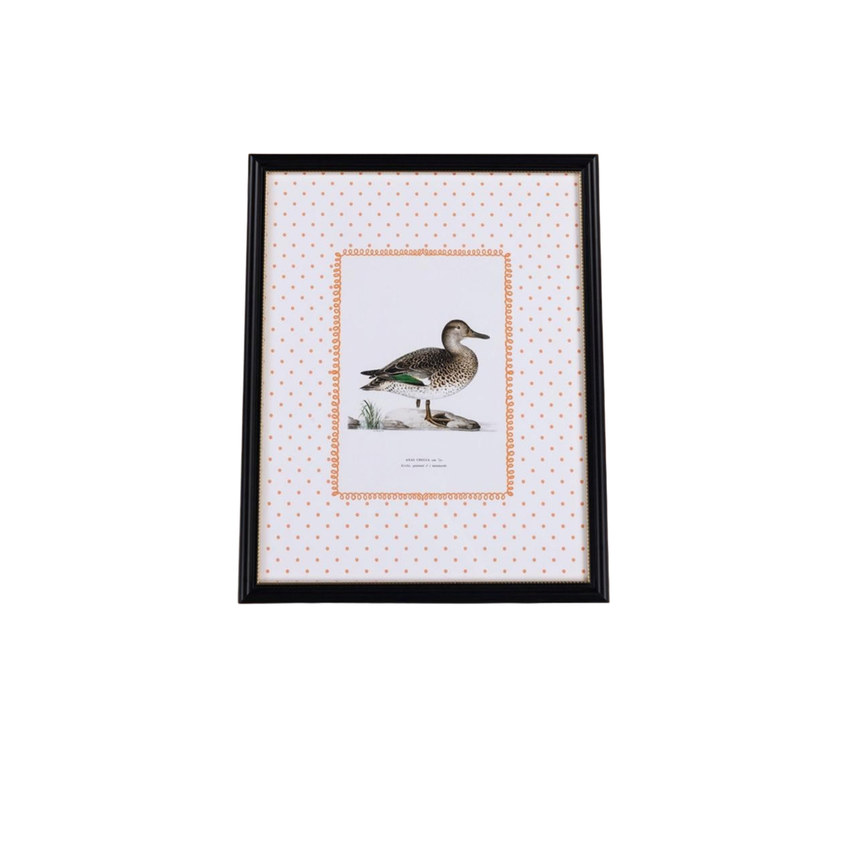 Duck II Framed Print - Utterly Adorable Wall Art