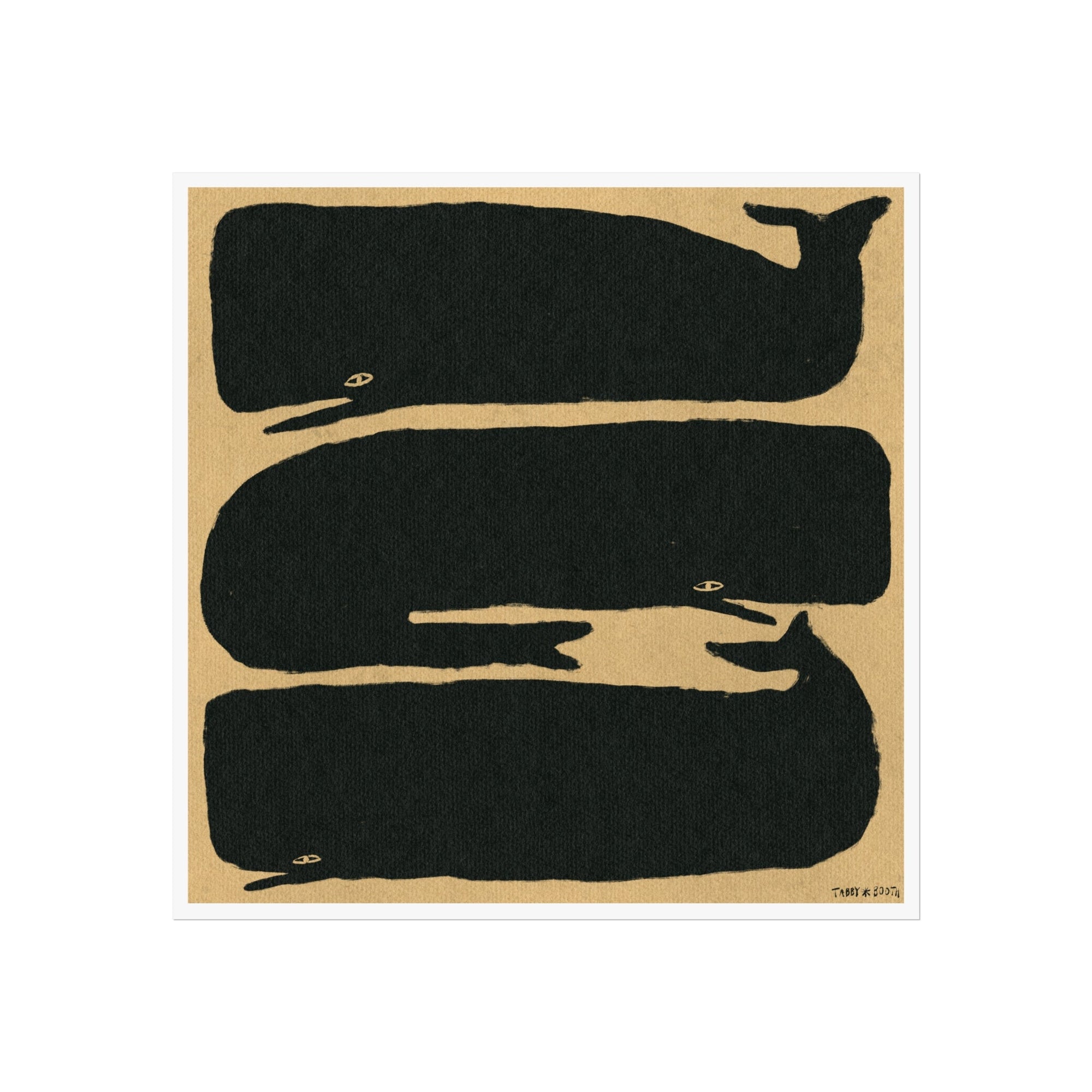 Tabby Booth Whales Fine Art Print