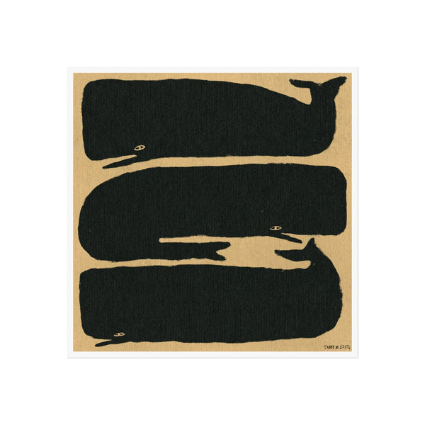 Tabby Booth Whales Fine Art Print