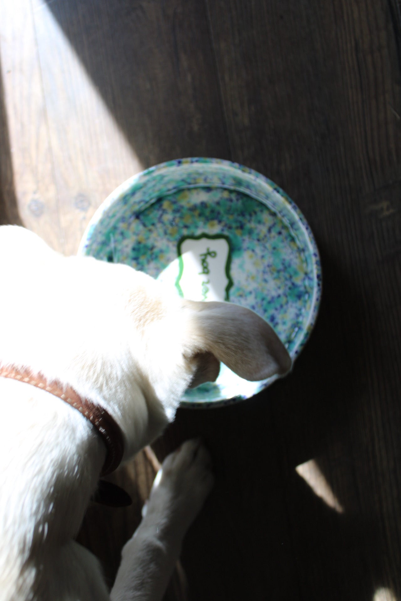 Personalised Hand-painted Ceramic Dog Bowl