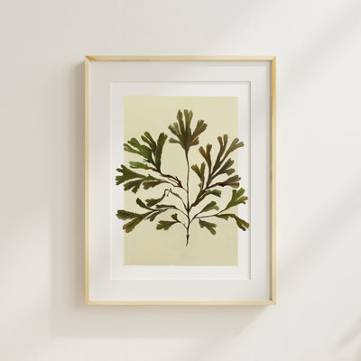 coastal art print 