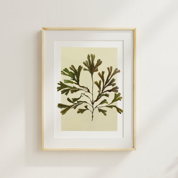 coastal art print 