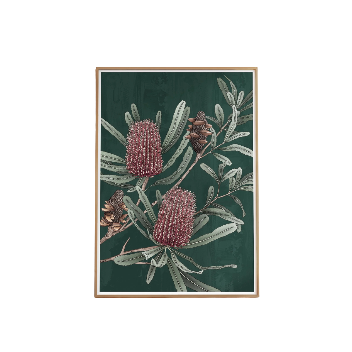Firewood Banksia Portrait Artprint